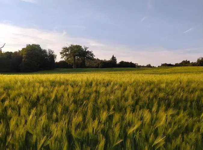 Ferienhaus Quiete San Dalmazio